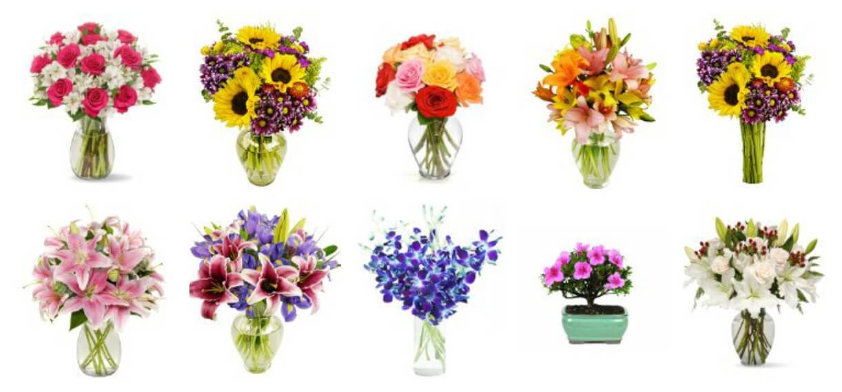 Amazon Flower Delivery Usa at Wayne Stowers blog